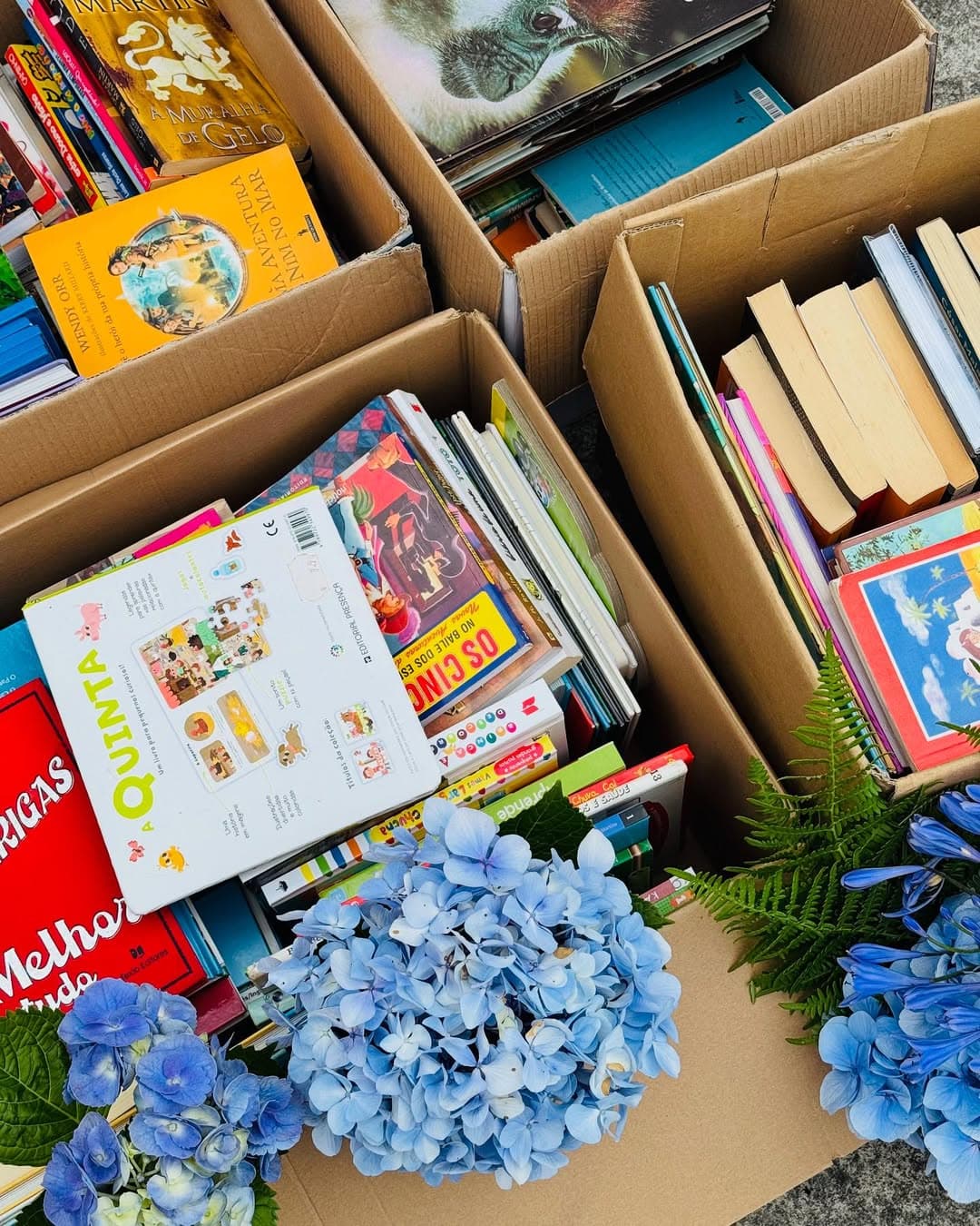 biblioteca-infantil-photo