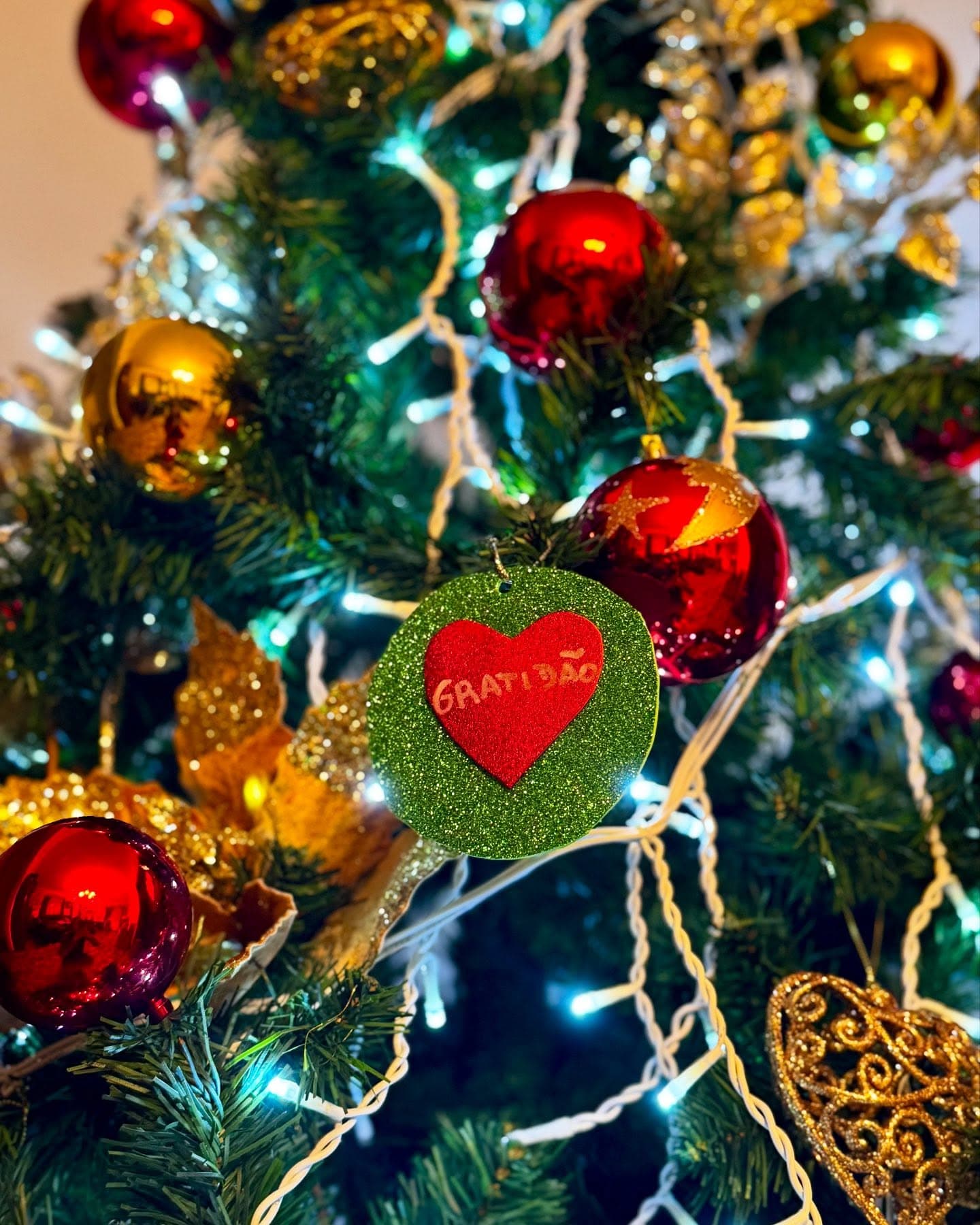 natal-gratidao-photo